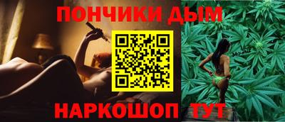 индика Моздок