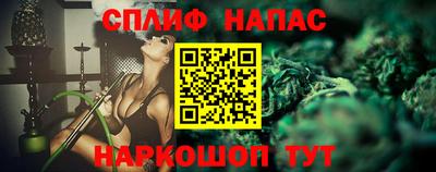 индика Моздок