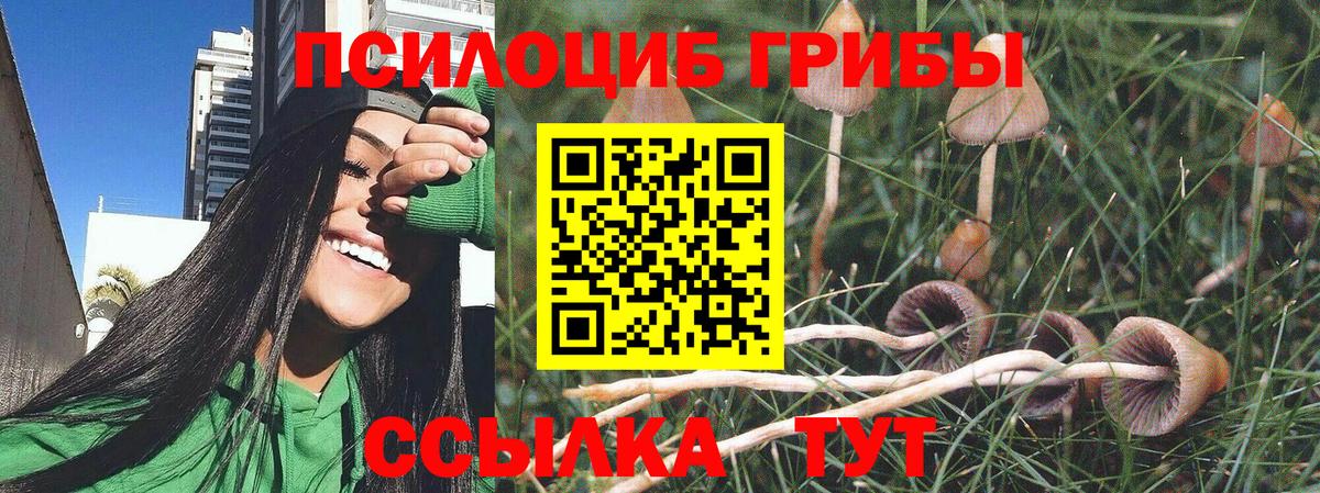 Галлюциногенные грибы ЛСД Добрянка